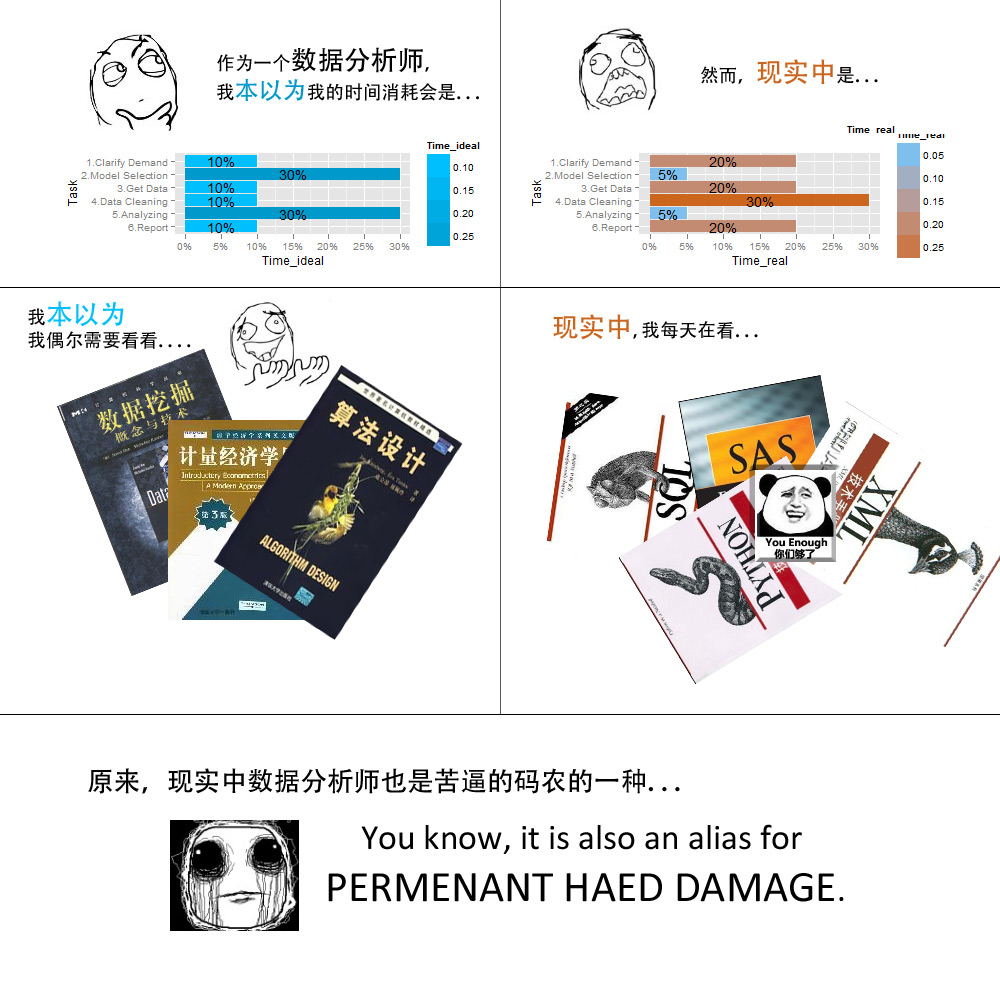 暴走的数据阐明师 暴走的数据阐明师