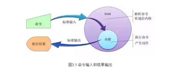 Linux Shell的常用操作和命令